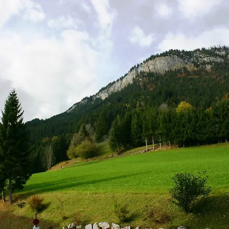 Apartment Edelweiss - Fis - Ferien Im Salzkammergut Apartamento